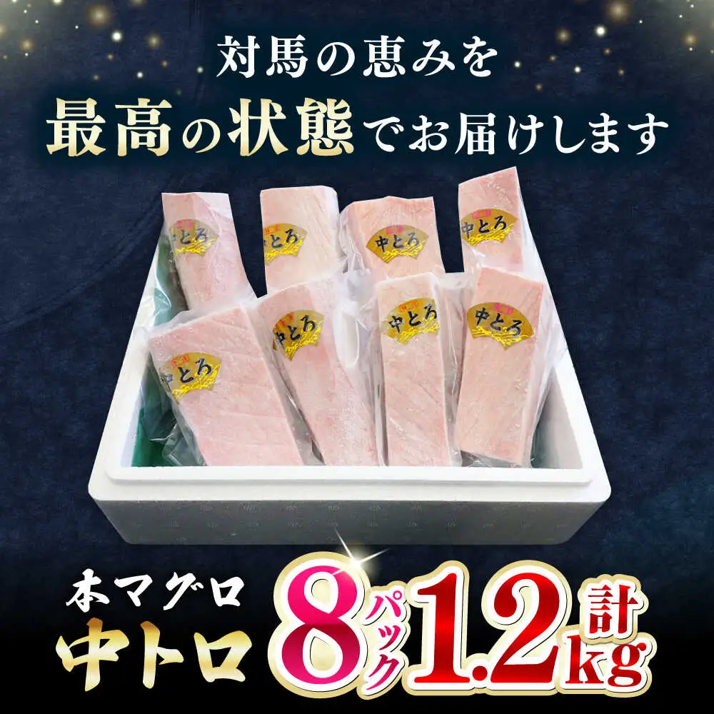 【1週間以内発送】対馬産 本マグロ 中トロ 1.2kg(8パック)マグロ まぐろ 本鮪 中とろ [WAH020] スピード発送 最速発送 最短発送