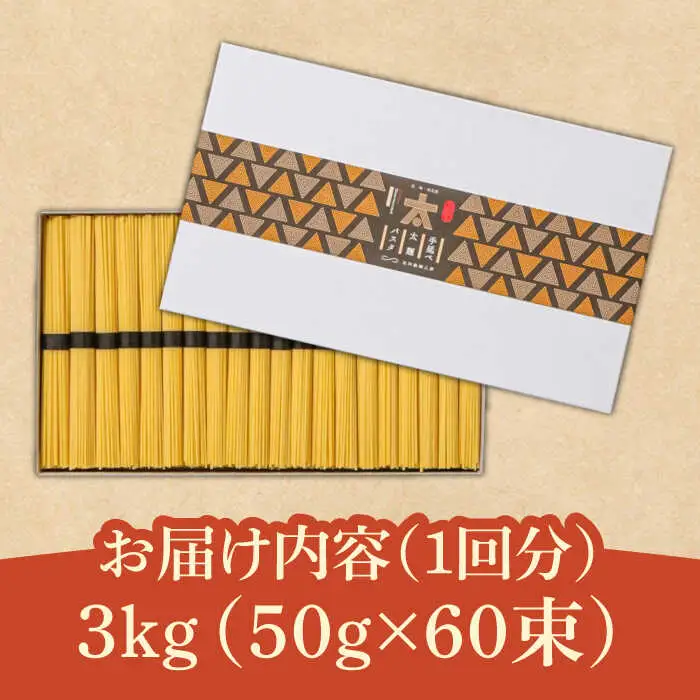【12回定期便】手延べ太麺パスタ　3kg (50g×60束)  / パスタ ぱすた スパゲッティ 麺 乾麺 / 南島原市 / 池田製麺工房 [SDA077]