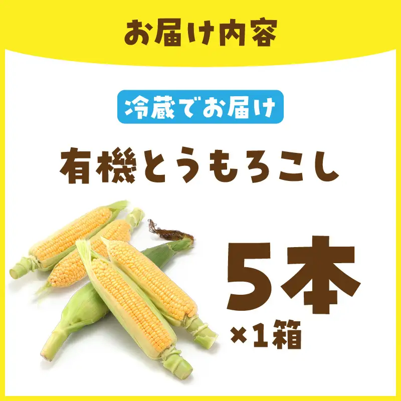 【数量限定50／先行予約2027年7月から順次発送】＜てんとうむしばたけ＞有機とうもろこし5本 有機野菜 甘い 野菜 ふるさと納税 とうもろこし 期間限定 とうもろこしごはん かき揚げ 有機 オーガニック 産地直送 旬野菜 旬 コーン バター シャキシャキ