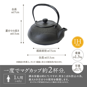 南部鉄器 鉄瓶 正方丸あられ 0.7L [AK041]