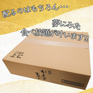 ばばば！かもめの玉子ミニ バラ100個セット！ 