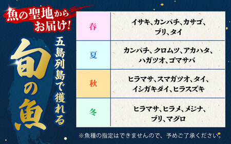 【冷蔵】【下処理済】鮮魚ボックス2種 五島市/金沢鮮魚[PEP006] 金澤仕立て  鮮魚 冷蔵 真空パック 新鮮 下処理済み 海鮮 刺身 セット