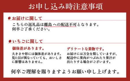 【先行予約】＜いちご3か月定期便＞栃木県産とちおとめ320g×2パック 3Lサイズ 3回｜ アフター対応あり いちご ※2027年1月～発送