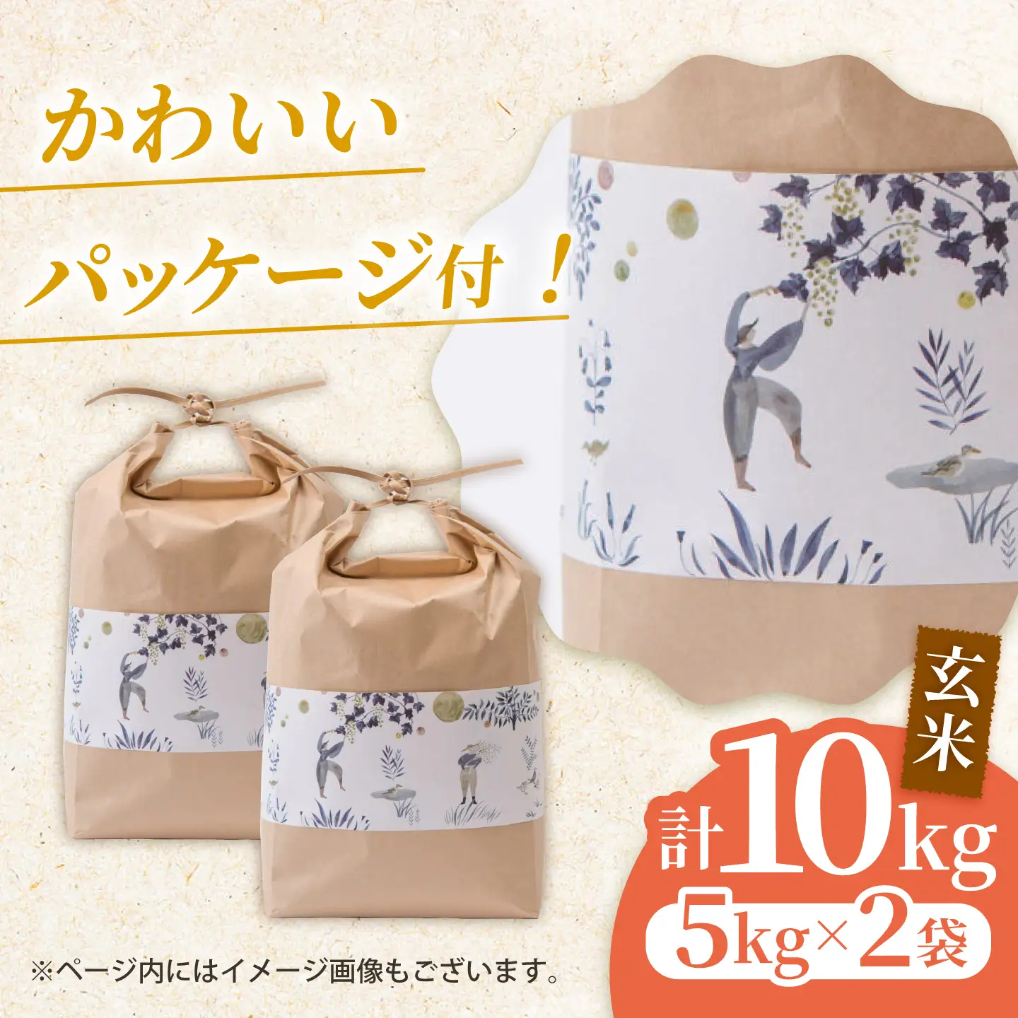 〈令和7年度産米〉 合鴨農法玄米 5kg×2 計10kg 【あいがもん倶楽部】 令和7年産 [ZAR029]