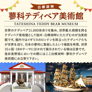 蓼科テディベア美術館オリジナルハンドメイドキット＆フォトセット
