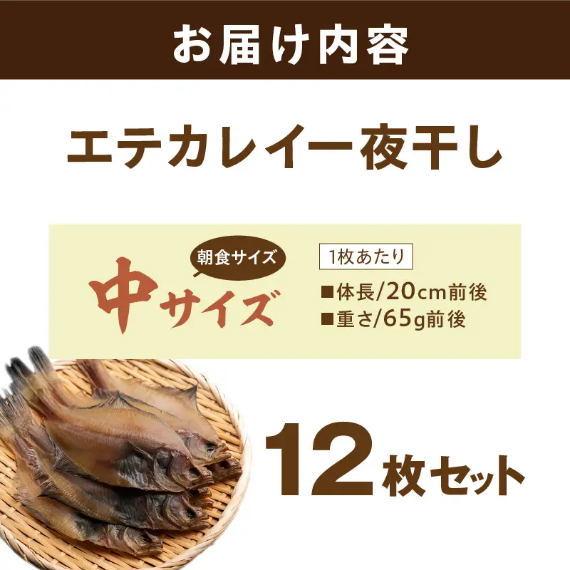 【店主一押し！絶品干物！高リピート！】エテカレイ一夜干し　中サイズ（朝食サイズ）12枚