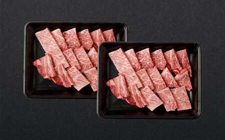＜霜降り 焼肉 300g×2＞翌月末迄に順次出荷【c1178_ya】