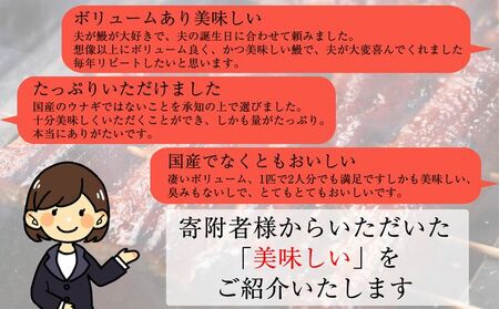 うなぎ蒲焼 特大 無頭 3尾 計約990g タレ付き | うなぎ蒲焼