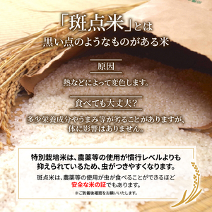 【 先行予約 】新米 こしひかり 玄米 5kg 定期便 3ヶ月