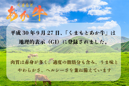 GI認証 【 くまもとあか牛 】特選 焼肉用 500g あか牛 和牛 牛肉 熊本 ブランド牛 焼き肉 ヤキニク やきにく ごちそう 記念日 国産 お肉 050-0349