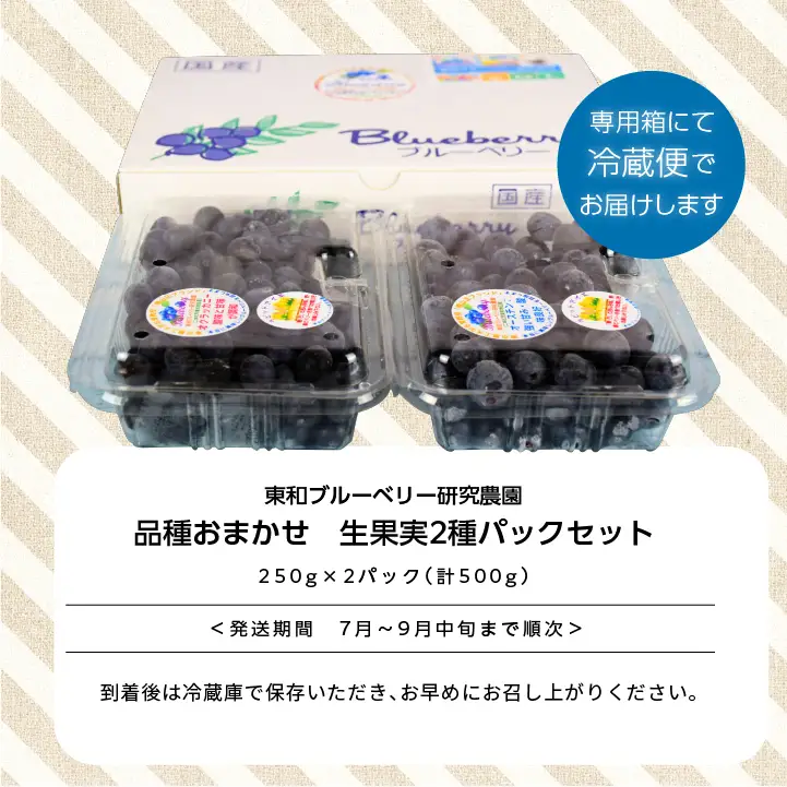 《2026年7月以降順次発送》ブルーベリー果実500g（品種おまかせ）ブルーベリー フルーツ【東和ブルーベリー研究農園】