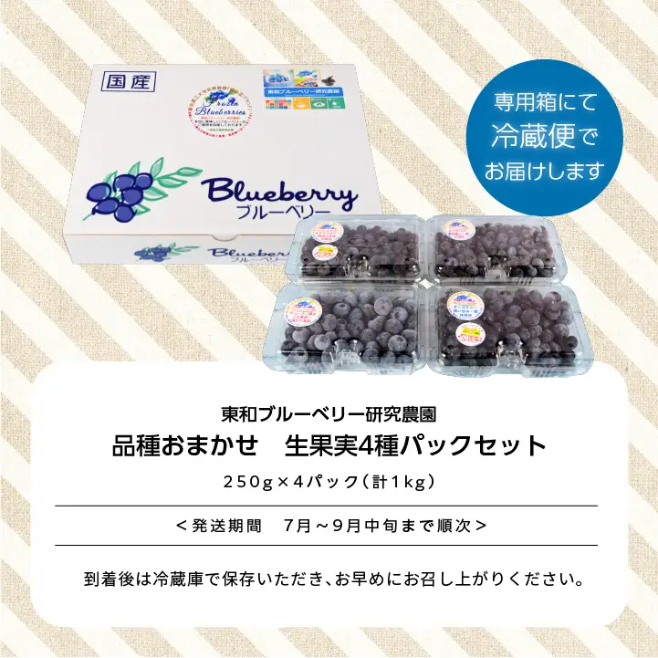 《2026年7月以降順次発送》ブルーベリー果実1kg（品種おまかせ）　ブルーベリー フルーツ【東和ブルーベリー研究農園】