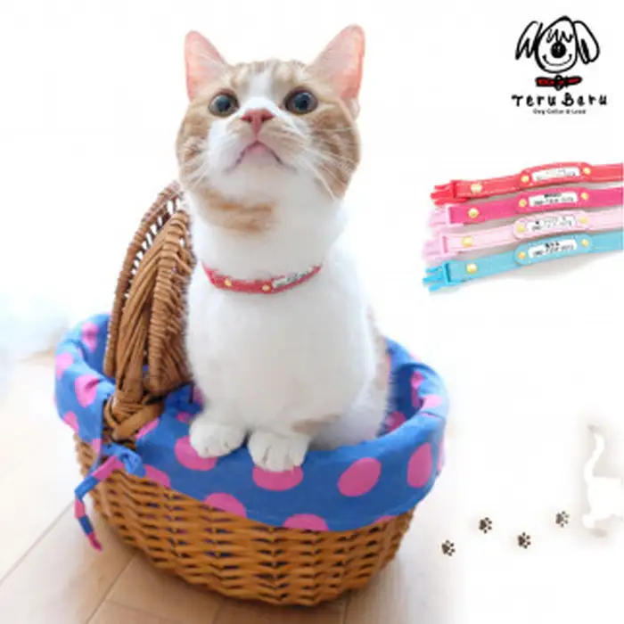 迷子札付き猫首輪 本革製 ネームタグ 猫用品 猫グッズ | 猫用 首輪 迷子札 ペットグッズ ペット用品 セーフティバックル使用 超軽量 愛猫 名入れ オーダー品 おしゃれ 可愛い プレゼント 贈り物 てるべる 埼玉県 越谷市