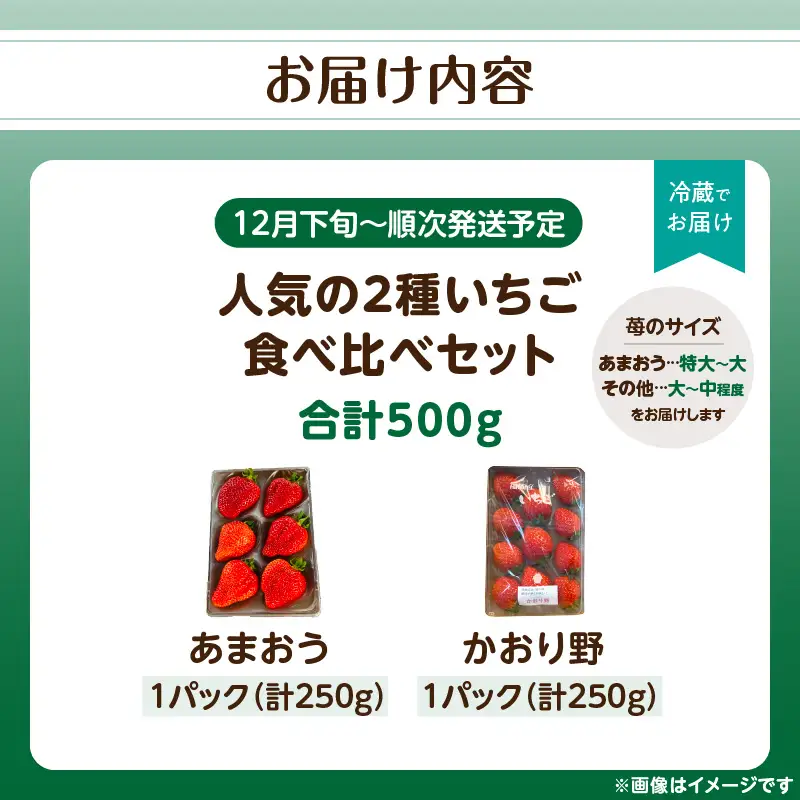 人気の2種いちご食べ比べセット「あまおう 250g」＋「かおり野 250g」合計500g｜2026年12月～順次発送＜ひらい観光農園＞ いちご イチゴ 苺 旬 期間限定 数量限定 デザート フルーツ 食べ比べ 福岡県 八女市065-010