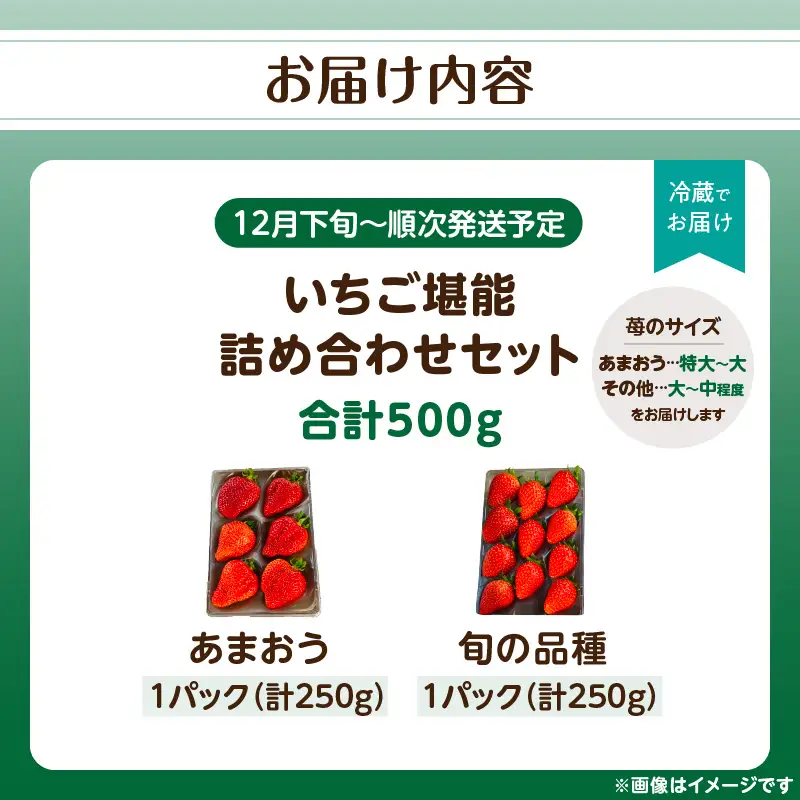 いちご堪能詰め合わせセット 250g×2パック（合計500g）｜2026年12月～順次発送＜ひらい観光農園＞ 065-011
