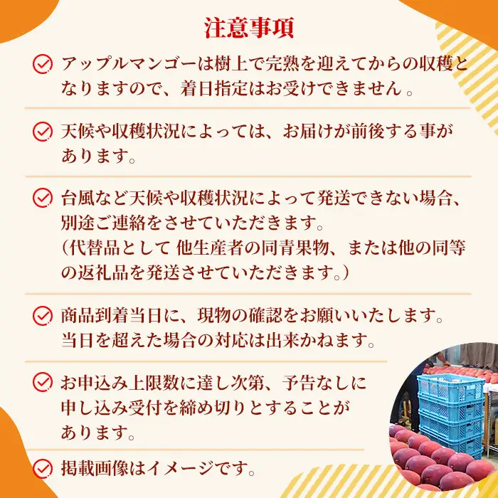 《先行予約2027年発送》沖縄県宮古島・完熟マンゴー900g（2玉）【特選贈答用】ティダマンゴー宮古島農園（AI002）