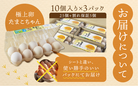 【6回定期便】コク旨 極上卵 30個 割れ保証付き
