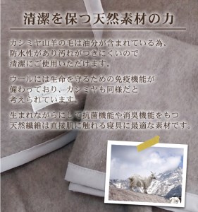 カシミヤ毛布 ひざ掛けサイズ [2163] | 毛布