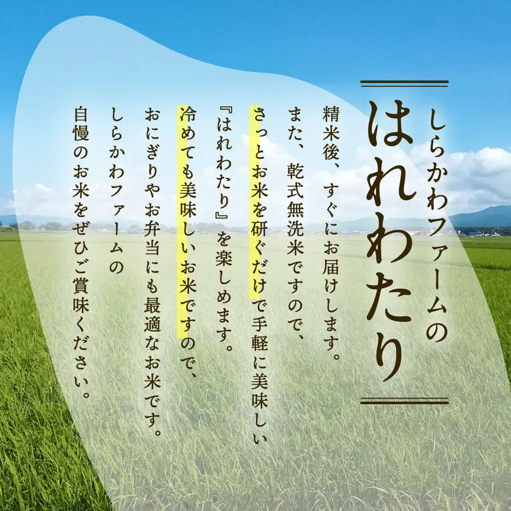 無洗米 米 10kg はれわたり （精米） 特A 青森県産 乾式無洗米