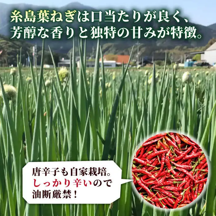 ラーメンを旨くする 糸島ねぎ油 / ねぎラー油 各1本 糸島市 / Carna [ALA056] 調味油 ラー油