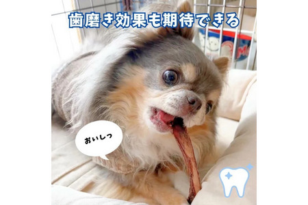 6-80 南アルプスの天然鹿と鹿肋骨ジャーキー定番セット ワンちゃんの贅沢おやつ ALPDW012