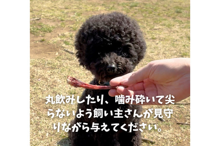 6-82 天然鹿の皮ガムと南アルプスの天然鹿肋骨の贅沢デンタルケアセット中型犬用 ALPDW014