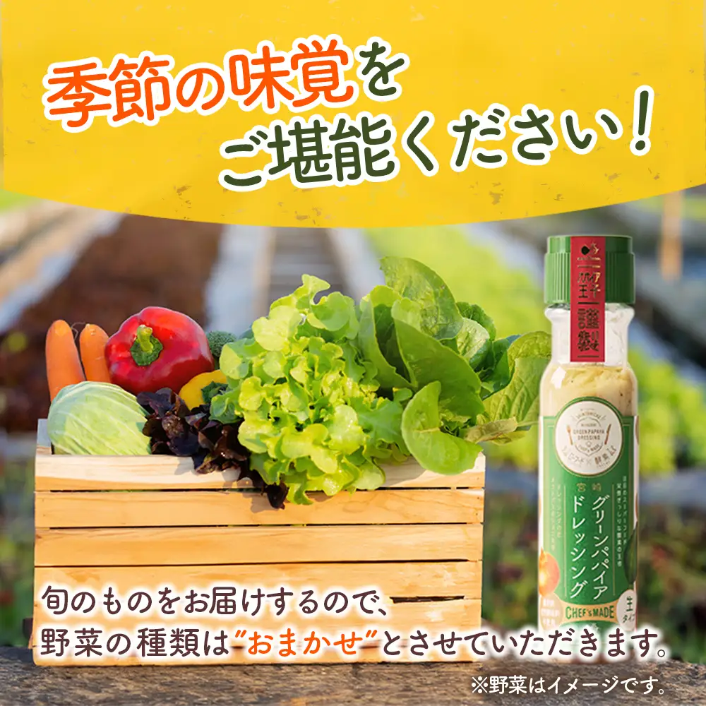 野菜 産地直送！旬の野菜（5～8種類）・ドレッシング  B643-2608