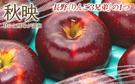 【2026年/令和8年度発送分 】訳あり 信州のりんご 秋映 約 5kg りんご リンゴ 林檎 長野 フルーツ 果物 信州産 長野県産 特産 産地直送 おすすめ