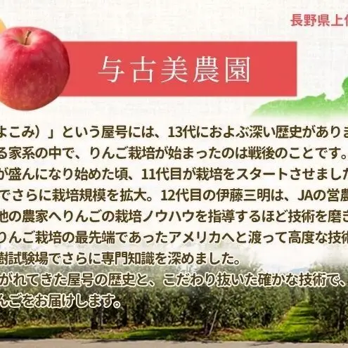 【2026年/令和8年発送分 】梨 長野 豊水 約 3kg 信州の梨 水分たっぷりジューシーな梨です フルーツ 果物 デザート なし ナシ ほうすい ホウスイ 産地直送 長野県 信州産