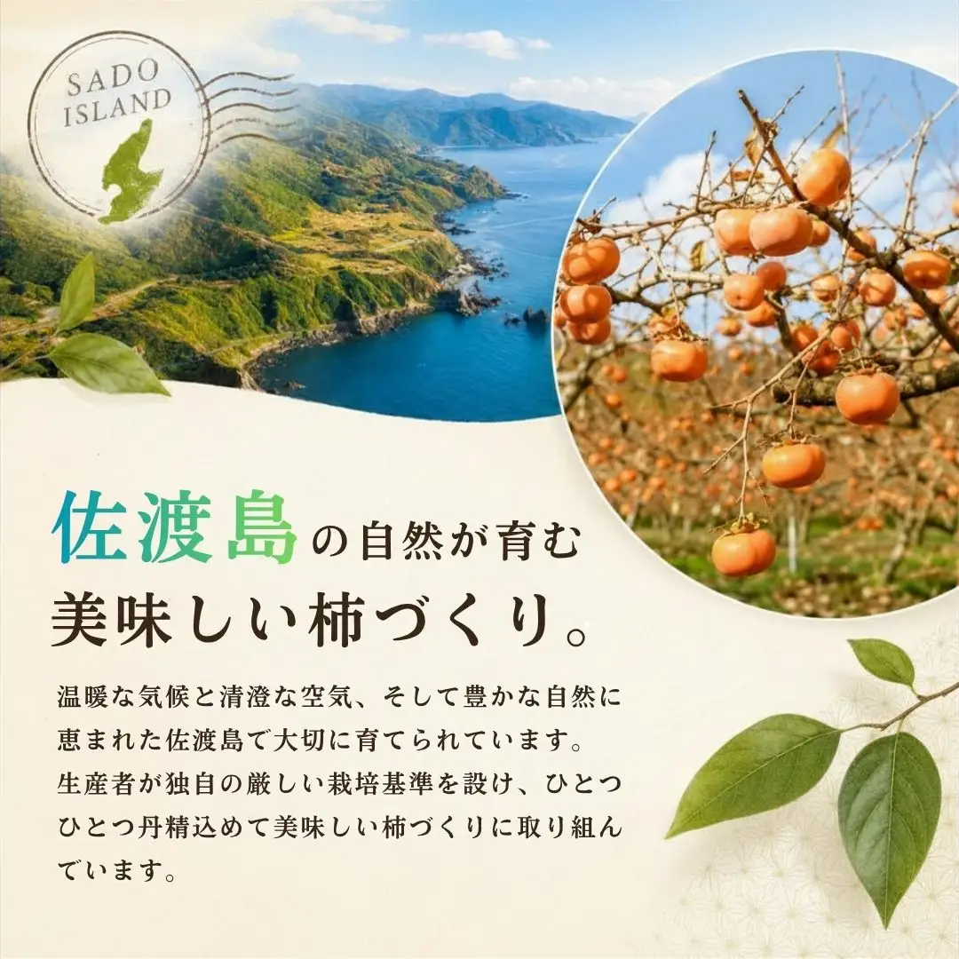 おけさ柿 約5kg 家庭用（25?31個） | 新潟県 佐渡市柿