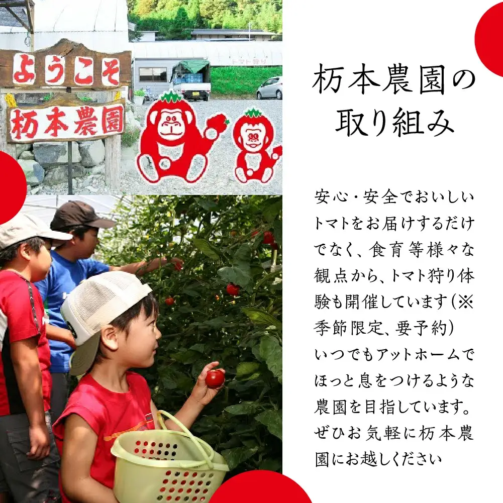 【定期便 3回】産地直送！杤本農園  フルーツトマトジュース（720ml×6本入り）×3カ月  華小町 フルーツトマト とまと 野菜飲料 贈答 ギフト 定期 3ヶ月 ジュース トマトジュース トマト フルーツトマト【45-A】定期便 定期 トマト トマトジュース トマトジュース トマトジュース  