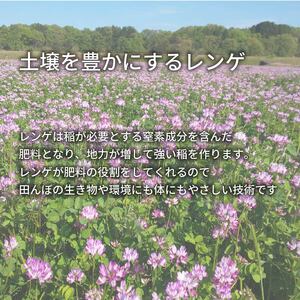 【 先行予約 】 新米 夢ごこち 玄米 10kg 定期便 6ヶ月