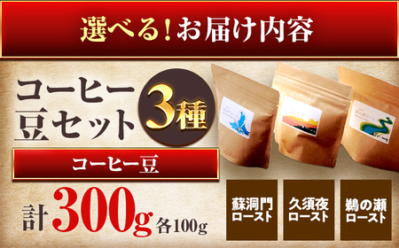 珈琲300g 小浜セット(豆) / コーヒー 珈琲  美味しい 小浜市 / topiv [BFAI015]