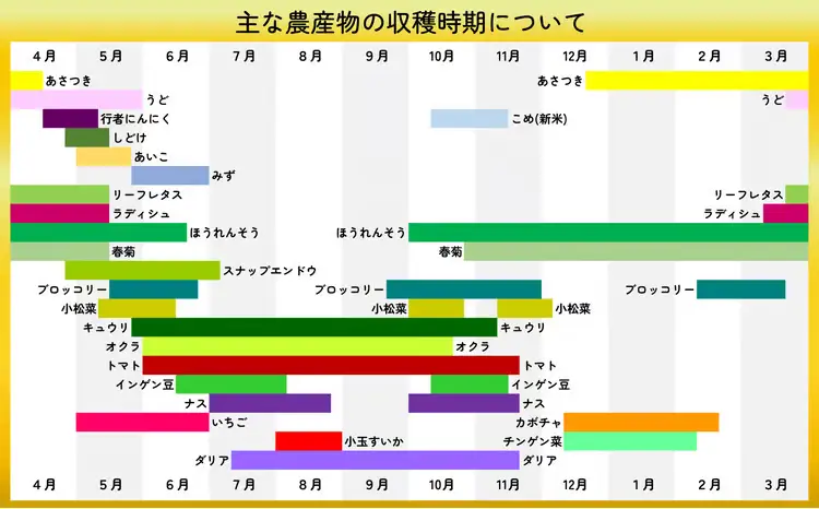 四季折々の野菜・山菜セット（5品目ほど）　45P3203【ひない渡辺農園しどけ村】