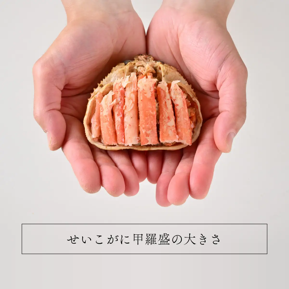 【先行予約】すぐに食べられる！老舗カニ料理専門店の「せいこがに甲羅盛」１個(１００g前後)【2026年11月中旬より順次発送】 [A-085044] / せいこがに