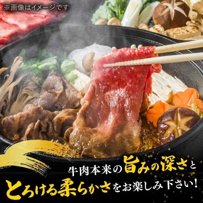 【全6回定期便】【和牛の旨味を堪能！】博多和牛しゃぶしゃぶすき焼き用 500g 桂川町/株式会社 MEAT PLUS [ADAQ018] 国産 牛肉 和牛 しゃぶしゃぶ すき焼き ロース もも うで 定期便