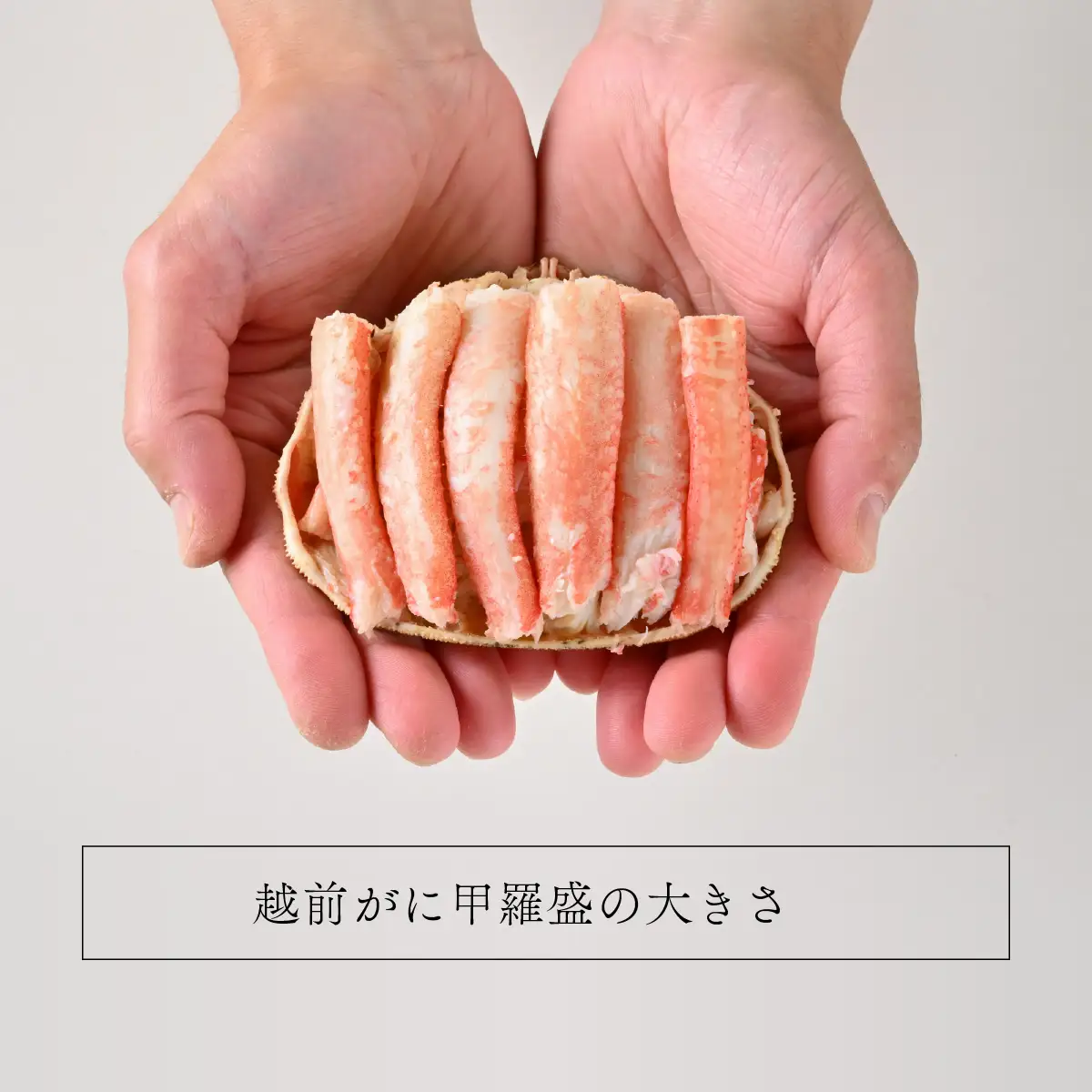 年中旨い蟹を堪能！老舗カニ料理専門店の「越前ズワイガニ甲羅盛」1個（200g前後）[C-085001] / ズワイガニ