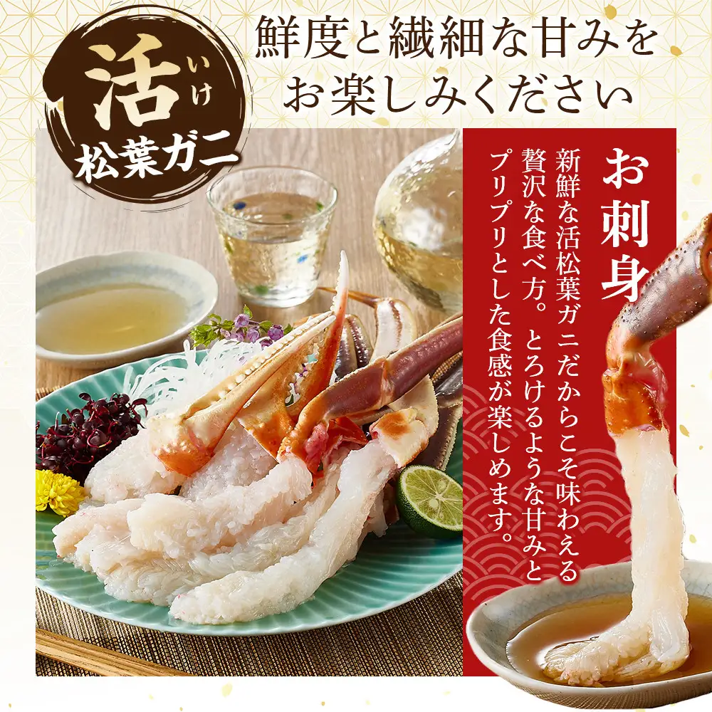 ＜11月中旬～3月中旬発送予定＞＜期間限定＞活松葉ガニ 特々大 1.2kg以上
