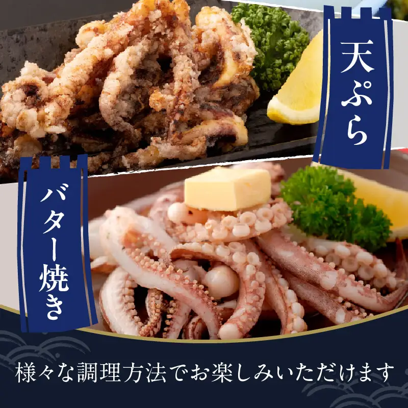 日本海産『海の京都』の逸品！！　活白イカ姿造り（クリスタル白いか）特大サイズ 1杯（400g前後）（2027年6月上旬～発送） ふるさと納税 海鮮 鮮度抜群 新鮮 海鮮 いか イカ 簡単調理 生産者応援 送料無料 生食 魚介類 活イカ 日本海産 刺身 BBQ 美味 逸品
