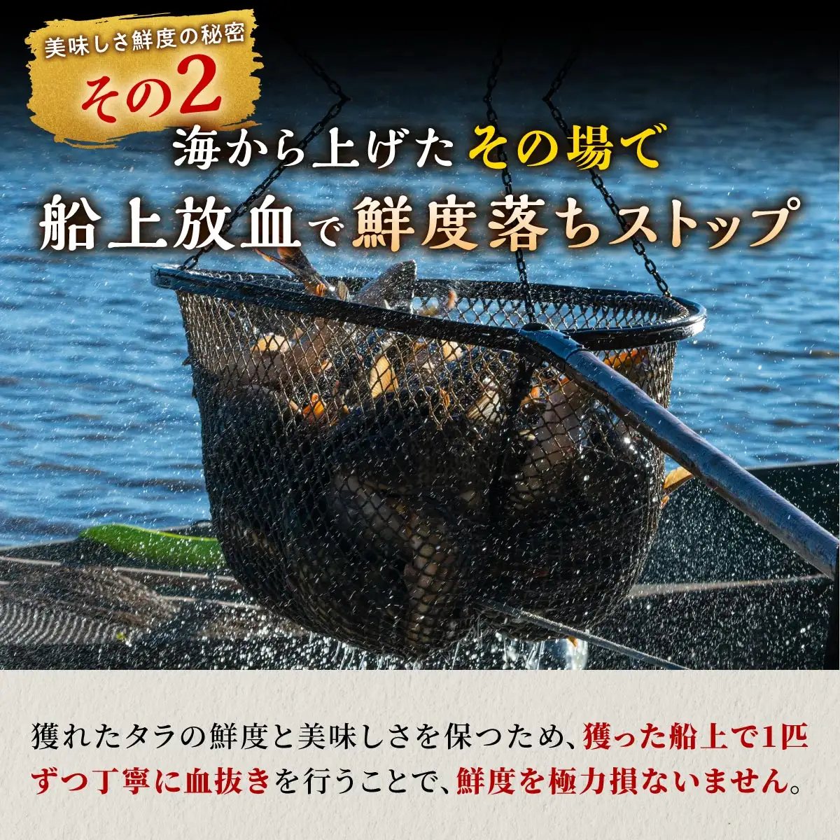 北海道 タラの昆布締め【1080g(180g×6)】_A030-1127