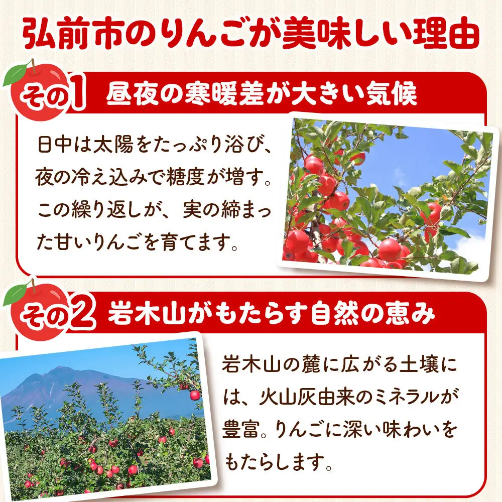 りんご 葉とらず サンふじ 約3kg 家庭用【12月発送】りんご