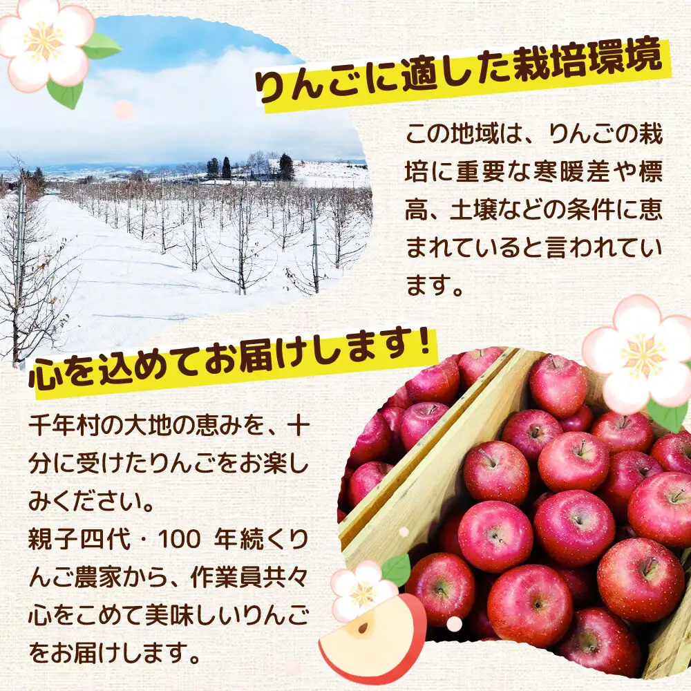【26年11月下旬発送】りんご 王林【贈答用】約3kg 先行受付