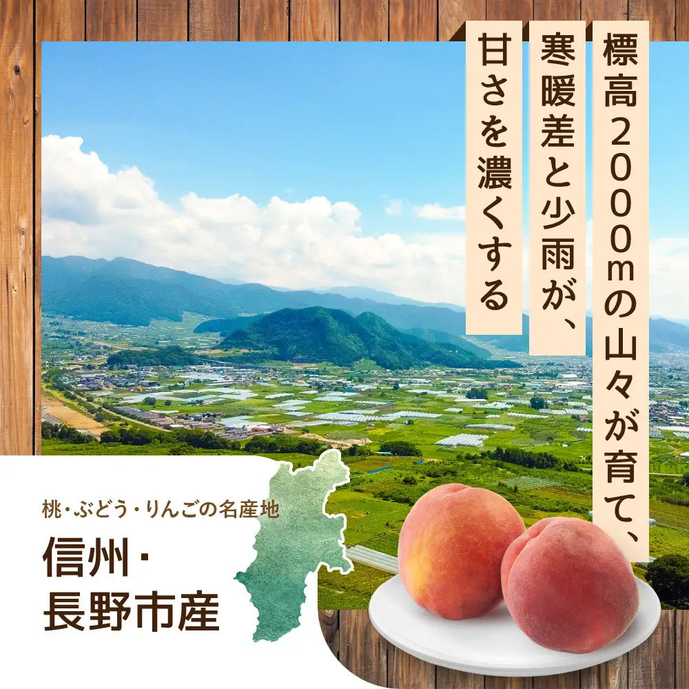 長野県長野市産　旬の桃ワッサー約２kg箱 | 桃 もも モモ もも