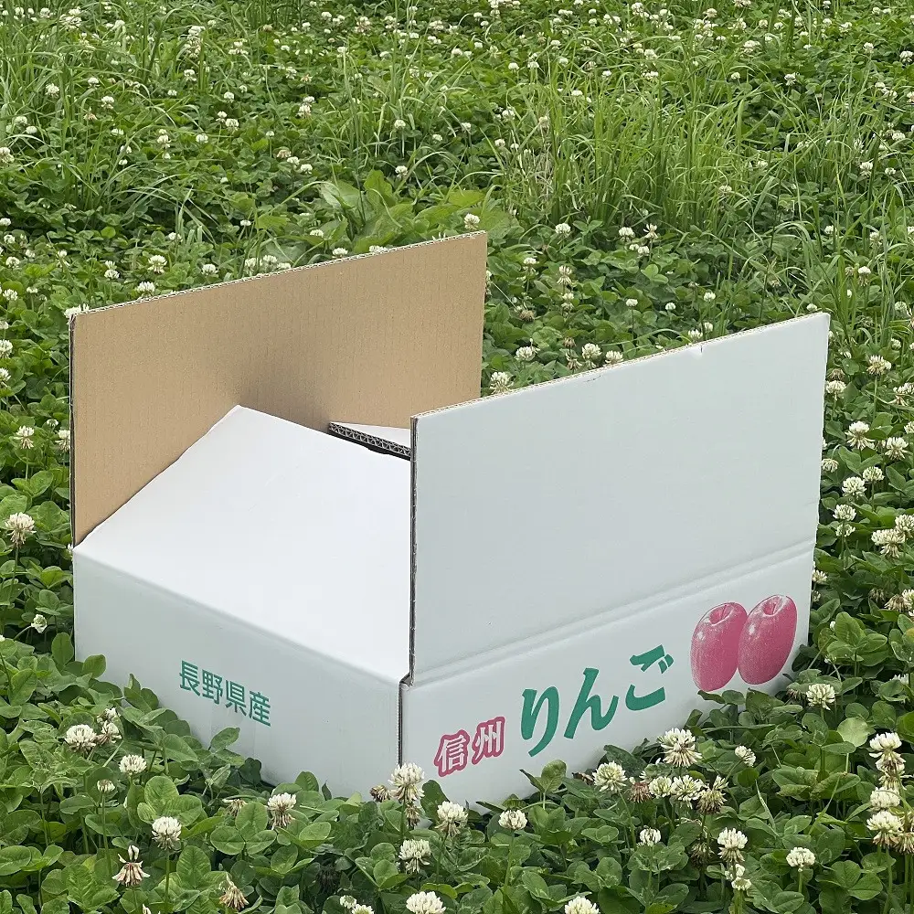 牧野果樹園　長野市産「シナノスイート」約5kg (11~16玉）  | りんご フルーツ 果物 りんご