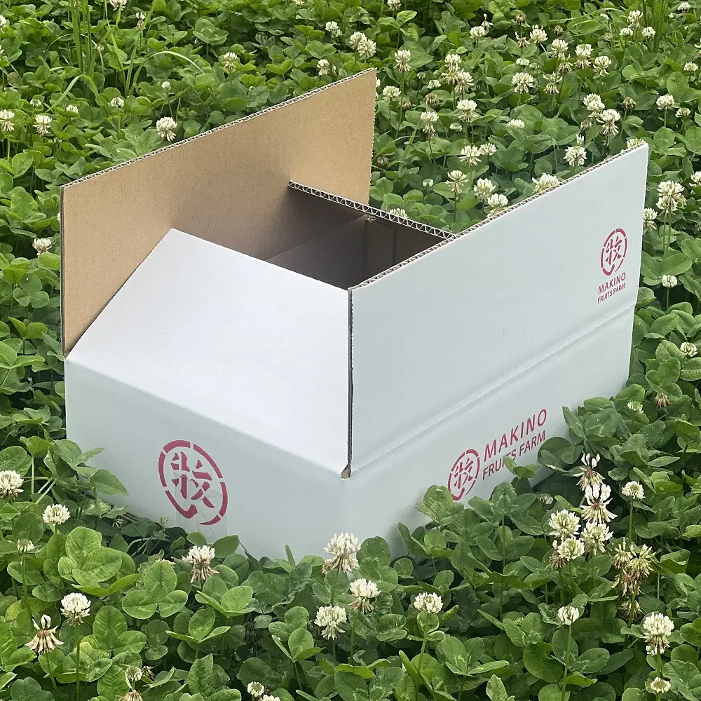 牧野果樹園　長野市産「サンふじ」約3kg （8～10玉） | りんご フルーツ 果物 りんご
