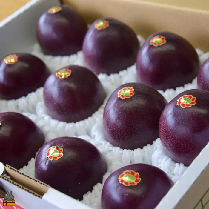 《今が旬！》太陽が育てた徳之島産パッションフルーツ（1kg） フルーツ 徳之島 奄美 果物