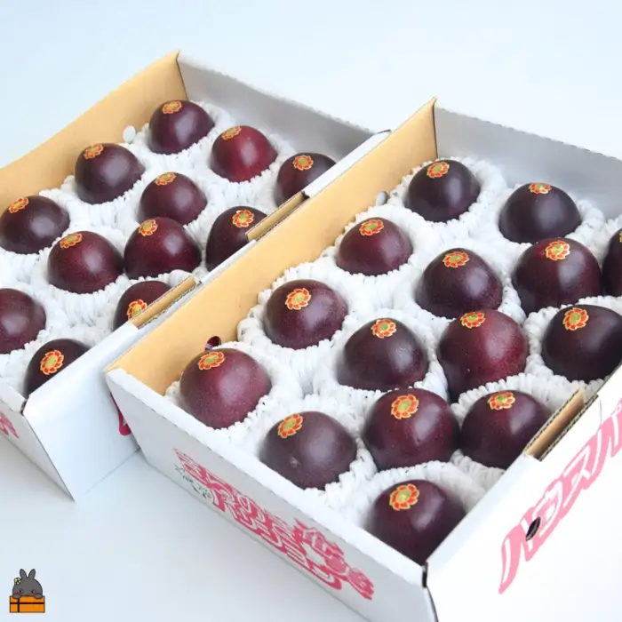 《今が旬！》太陽が育てた徳之島産パッションフルーツ（2kg） フルーツ 徳之島 奄美 果物