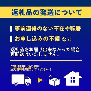 【訳あり】 アオリイカ 約1kg 2杯 冷凍 イカ 京都
