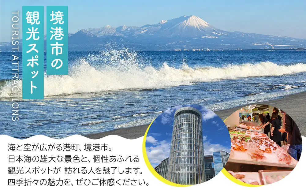 お墓参りお墓掃除代行サービス(1回分)【鳥取県 境港市】