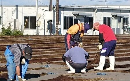 しおがま浦戸名産　焼のり（全型10枚×5パック）gk00001